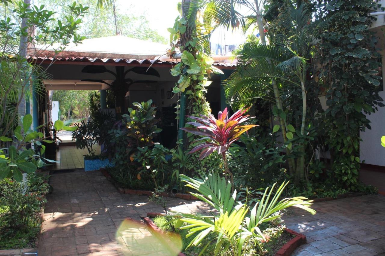Hotel Albatros Puerto Escondido  Exterior photo